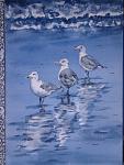 washington seagulls